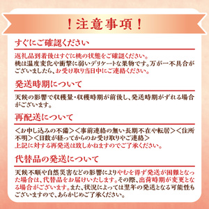 【2026年産 先行予約】＜北海道余市産＞桃「あかつき」1.5kg（6～10玉）_Y103-0058