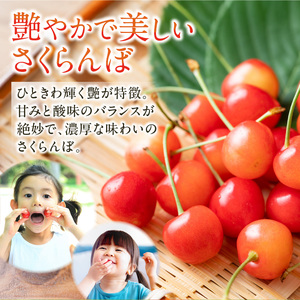 2025年発送【先行予約】令和7年産 佐藤錦【Ｌ～2Lサイズ】1Kg【すこやか自然農園】_Y139-0001
