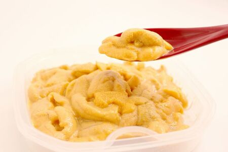 【先行受付】北海道産 世壱屋塩水ウニ(ムラサキウニ)300g_Y038-0144