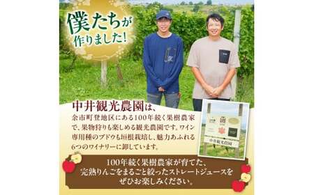 中井観光農園ストレートりんごジュース2本セット_Y037-0332