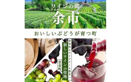 無添加 100％ストレート ぶどうジュース 180ml カベルネ 1本 安芸農園_Y067-0151