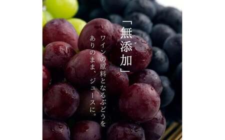 無添加 100%ストレート ぶどうジュース 710ml カベルネ 1本 安芸農園_Y067-0149