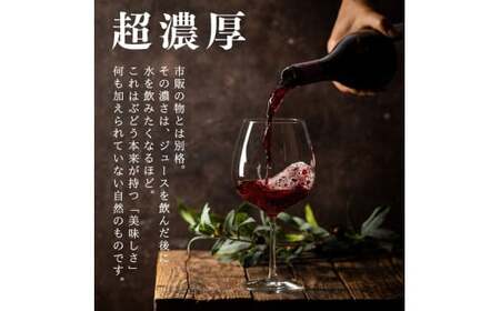 無添加 100%ストレート ぶどうジュース 710ml カベルネ 1本 安芸農園_Y067-0149