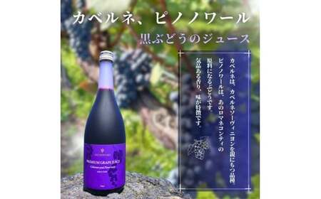 無添加 100%ストレート ぶどうジュース 710ml カベルネ 1本 安芸農園_Y067-0149