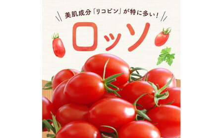 【先行予約：2026年7月下旬頃より発送】NicoFarm Nicoロッソ（ミニトマト）1Kg_Y124-0014