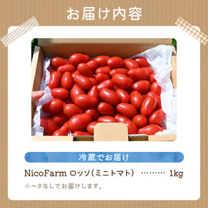 【先行予約：2026年7月下旬頃より発送】NicoFarm Nicoロッソ（ミニトマト）1Kg_Y124-0014