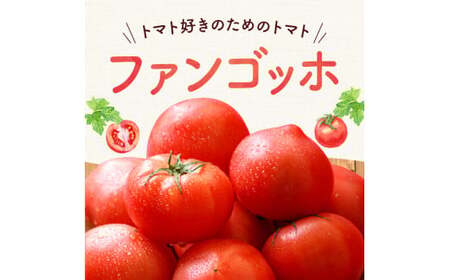 【先行予約:2026年7月下旬頃より発送】NicoFarm ファンゴッホ(中玉トマト)1Kg_Y124-0017