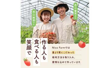 【先行予約:2026年7月下旬頃より発送】NicoFarm ファンゴッホ(中玉トマト)1Kg_Y124-0017