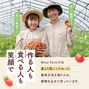 NicoFarm トマトジュース 2本セット ミニトマト トマトジュース トマト トマトジュース スッキリ トマトジュース 完熟トマト トマトジュース_Y124-0001