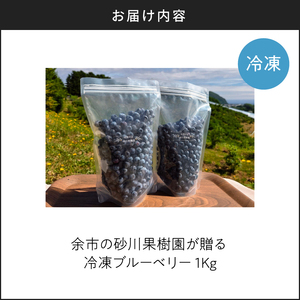 余市の砂川果樹園が贈る 冷凍ブルーベリー1Kg_Y033-0036