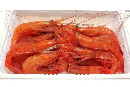 【獲れたての味!】甘エビ300g×3パックセット_Y022-0024