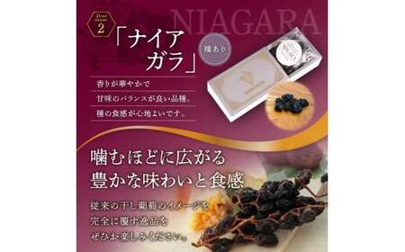 【ギフトボックス】余市産完全無添加干し葡萄DIONYSOS 3箱セット_Y050-0028