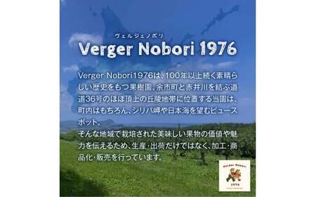 余市町 ナイアガラワイン 2023 750ml×1本 Verger Nobori 1976 辛口白ワイン 余市町登町 マスカットの香り ナイアガラ ワイン 白ワイン 北海道 送料無料_Y103-0030