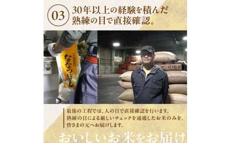 【10営業日以内発送】北海道産 ゆめぴりか 10kg 精米 お米 令和7年産 即納_Y138-0022