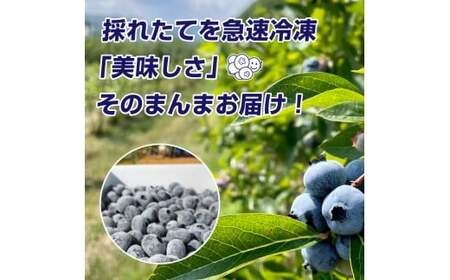 【余市産無農薬】冷凍ブルーベリー 残留農薬検査済み 2025年収穫_Y155-0001