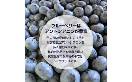 【余市産無農薬】冷凍ブルーベリー 残留農薬検査済み 2025年収穫_Y155-0001