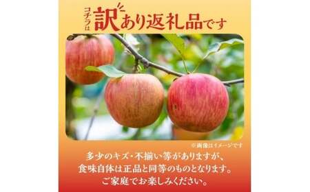 【2025年11月下旬より発送】フルーツ王国余市産訳あり「ふじ」3kg【ニトリ観光果樹園】_Y074-0153
