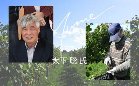 【数量限定】余市「ワイナリー夢の森」ワイン3本セット_Y034-0112