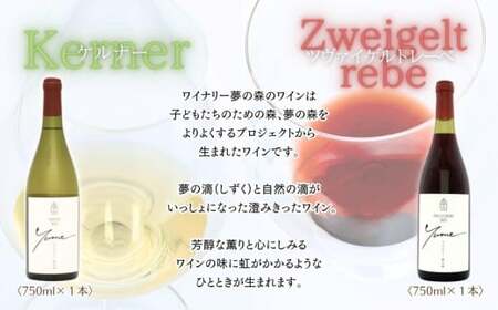 【数量限定】余市「ワイナリー夢の森」ワイン２本セット_Y034-0115