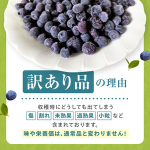 余市の砂川果樹園が贈る 訳あり冷凍ブルーベリー1Kg_Y033-0037