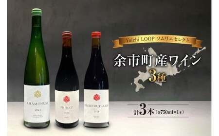 Yoichi LOOP ソムリエセレクト 余市町産ワイン【3種】AMAMITSUKI 2024・SHINKU 2024・PASSETOUTGRAIN 2024 3本セット_Y055-0076