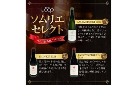 Yoichi LOOP ソムリエセレクト 余市町産ワイン【3種】AMAMITSUKI 2024・SHINKU 2024・PASSETOUTGRAIN 2024 3本セット_Y055-0076