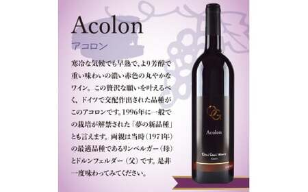 【OcciGabi Winery】赤ワイン飲みくらべ4本セット OcciGabi Winery 赤ワイン 飲み比べ4本セット スパークリングワイン_Y012-0112