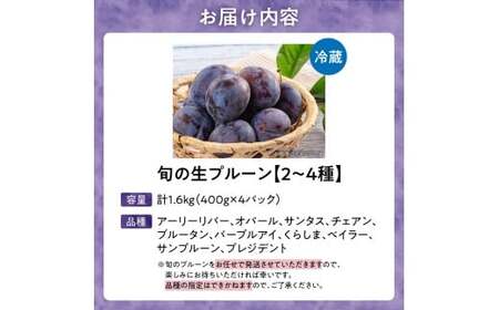 【先行予約：2026年8月以降発送】旬の生プルーン 食べ比べ 1.6kg(400g×4パック）_Y153-0001