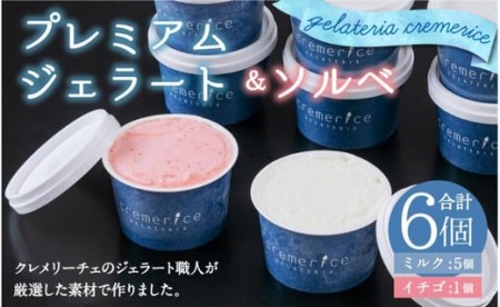 クレメリーチェのジェラート職人が厳選した素材で作るプレミアムジェラート&ソルベ 6個セット