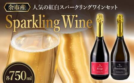 【先行予約：2025年4月以降発送】特別なおもてなしに スパークリング ワイン 紅白セット 750ml  ×各1本 オチガビワイナリー 北海道 余市町産 飲み比べ ぶどう アルコール お酒 濃厚 フレッシュ 飲みやすい ギフト お祝い パーティー お取り寄せ _Y012-0101