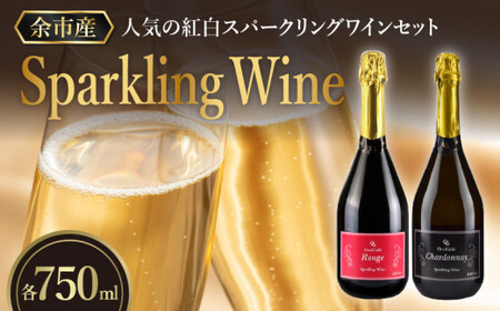 【先行予約：2025年4月以降発送】特別なおもてなしに スパークリング ワイン 紅白セット 750ml  ×各1本 オチガビワイナリー 北海道 余市町産 飲み比べ ぶどう アルコール お酒 濃厚 フレッシュ 飲みやすい ギフト お祝い パーティー お取り寄せ _Y012-0101