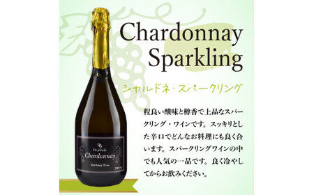 【先行予約：2025年4月以降発送】特別なおもてなしに スパークリング ワイン 紅白セット 750ml  ×各1本 オチガビワイナリー 北海道 余市町産 飲み比べ ぶどう アルコール お酒 濃厚 フレッシュ 飲みやすい ギフト お祝い パーティー お取り寄せ _Y012-0101