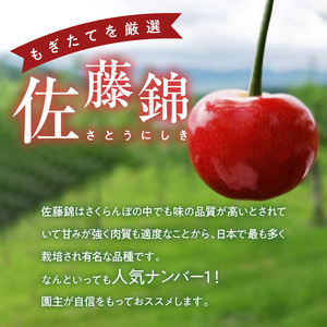 【先行予約2026年7月上旬より発送】余市の砂川果樹園が贈る もぎたて直送さくらんぼ 佐藤錦 1kg箱_Y033-0038