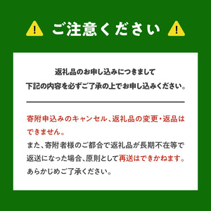 【先行予約2026年7月上旬より発送】余市の砂川果樹園が贈る もぎたて直送さくらんぼ 佐藤錦 1kg箱_Y033-0038