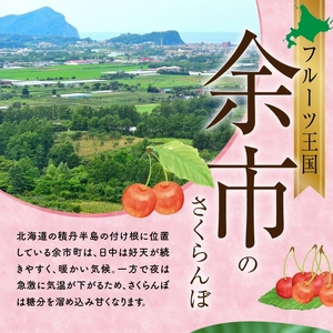 甘さとジューシーさがたまらない 紅秀峰 500g×2パック 合計1kg(２L) 【2025年発送先行予約】 余市 北海道 フルーツ王国 さくらんぼ サクランボ 桜桃 紅秀峰  小分けさくらんぼ  人気さくらんぼ ニトリ _Y074-0113