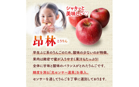 【先行受付:2026年10月中旬以降発送分】りんご(昂林)5kg_Y010-0661