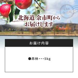 【先行受付:2026年10月中旬以降発送分】りんご(昂林)5kg_Y010-0661