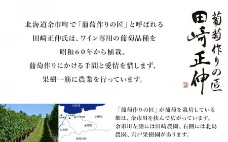 【北海道ワイン】【葡萄作りの匠 田崎正伸】北海道ワイン 2種 飲み比べセット 【余市のワイン】 余市 北海道 白ワイン 2本セット ピノノワールワイン ミュラートゥルガウワイン 北海道のワイン 余市のワイン 日本のワイン 国産ワイン _Y020-0437