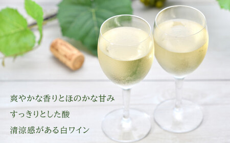 ＜葡萄作りの匠 田崎正伸＞ミュラートゥルガウ 750ml_Y020-0391