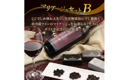 【ギフトボックス】余市産完全無添加干し葡萄と余市産セレクトワインのマリアージュセット ～B～_Y050-0021
