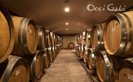 【OcciGabi Winery】ドルンフェルダー 【余市のワイン】 余市 北海道 赤ワイン ドルンフェンダーワイン 人気ワイン おすすめワイン 余市のワイン 北海道のワイン 日本のワイン 国産ワイン お酒 _Y012-0107