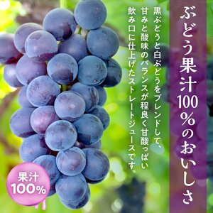 風味豊かな余市産ぶどう100%ジュース500ml×12本セット_Y018-0062