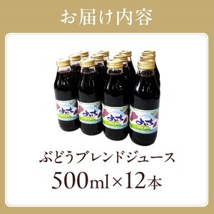 ぶどうジュース500ml×12本セット　ストレート　北海道産_Y018-0035