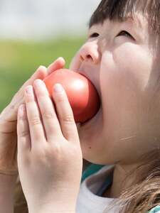 余市産 完熟トマト 100%使用! まるごと搾り 甘熟トマトジュース 1L × 6本セット 無添加 濃厚な味わい 北海道 100%ピュアジュース 風味豊か 自然な味わい 太陽 大地 真っ赤 完熟 丸ごと搾り_Y015-0033