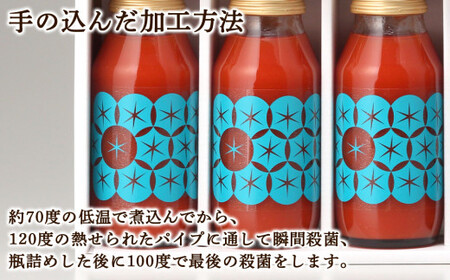 【定期便12回】中野ファームのトマトジュース 180ml×10本セット 【余市のトマトジュース】フルーツトマトジュース 高糖度トマトジュース 無添加トマトジュース 北海道産トマトジュース 国産トマトジュース_Y026-0005