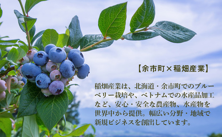 ◆ふるさと納税限定◆ブルーベリーワイン 2016 ＜アイケイファーム余市＞_Y020-0671