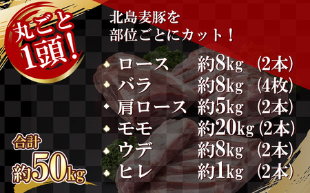 【農場直送】 北海道産　北島麦豚　1頭丸ごとセット　計約50kg【余市のブランド豚肉】　麦豚　余市産豚肉　北海道産豚肉　国産豚肉　小分け豚肉　安心安全豚肉 北島豚 _Y067-0045