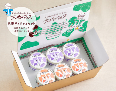 大地のアイス 余市ギュウっとセット りんご ぶどう クラフトアイスクリーム グロスフェッドミルク 素材の美味しさ 乳化剤 安定剤 香料 無使用 家族の団らん ブランド 北海道 余市町 _Y096-0001