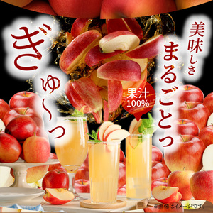 【余市】りんごの「カレー&ジュース」ほっぺほっぺセット【北海道】_Y034-0036