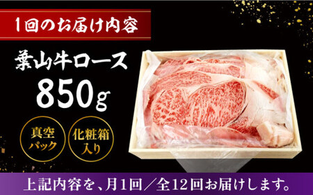 【全12回定期便】【化粧箱入り】葉山牛ロース すき焼きセット(葉山牛ロース850g) ／ 牛肉 和牛 すき焼き 神奈川県[ASAP016]